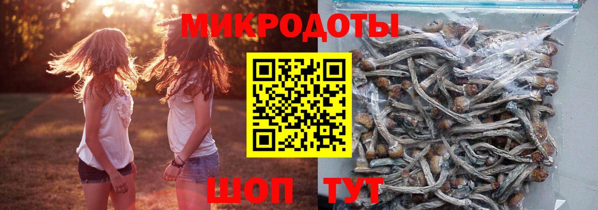 Чебоксары  Псилоцибиновые грибы Magic Shrooms  Вход с VPN 